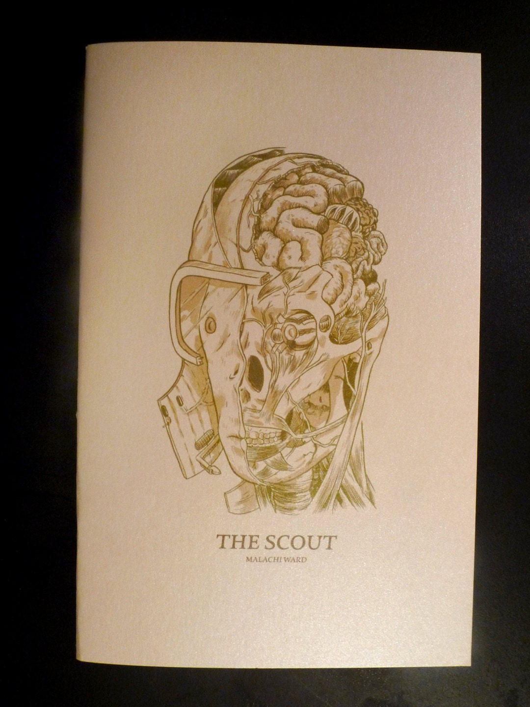 The Scout