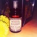 White Rabbit: Black Phoenix Alchemy Lab Alice in Wonderland Perfume Oil 5ml