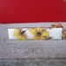 Vintage Enamel Flower Sweater Clip Guard New Old Stock in Box