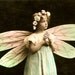 Dragonfly Girl Surreal Fantasy Tinted RPPC