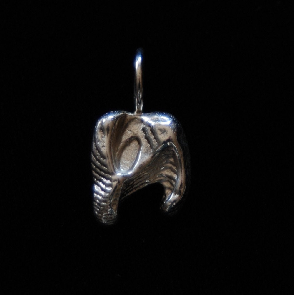 The Silver Cuttle Tooth