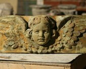 new york angel