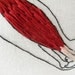 Bicep Arm Muscle Embroidery Wall Art