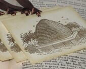 Vintage Bee Hive Gift Tags