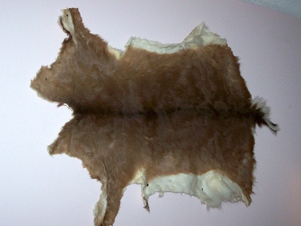 deer hide