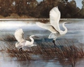 Egret Birds Flying, Lake Scene, Watercolor reproduction, Fine Art Print, 8 x 10  Limited Ed.