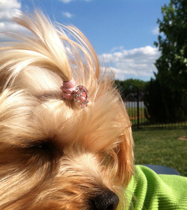 3 Button Bling Top Knot Tamers for your Dog's Hair--TKTamer, Dog Hair Bow Alternative, No Rubber Bands