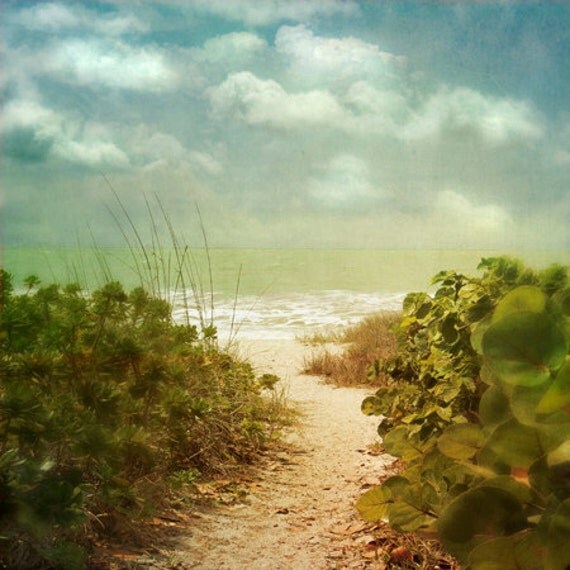 Beach Dreams II - Art Print 8x8. Beach photography, beach art, path to beach, baby blue, sea green, beach grass. Landscape photography.