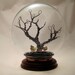 O.O.A.K Steampunk Terrarium