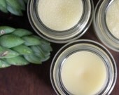 Ginger Orange Peel Lip Balm and Salve Certified Organic Ingredients