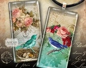 ROSES AND BIRDS  - 1x2 inch Digital Collage Sheet  Printable Images for Domino Pendants Magnets scrapbooking