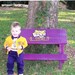 Hand painted childrens picnic table watermelon design