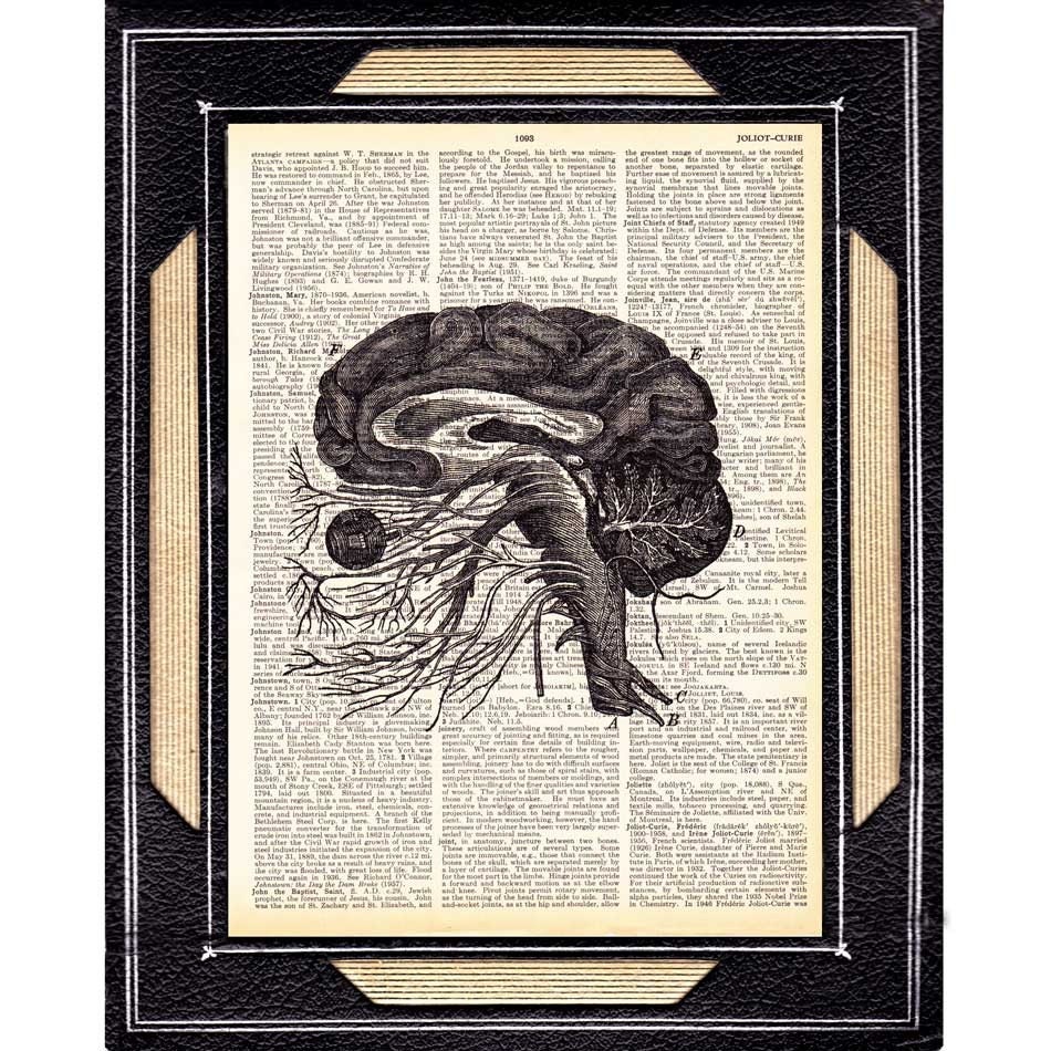 ANATOMICAL BRAIN dictionary art print on dictionary page dictionary print, human anatomy, black white brain illustration
