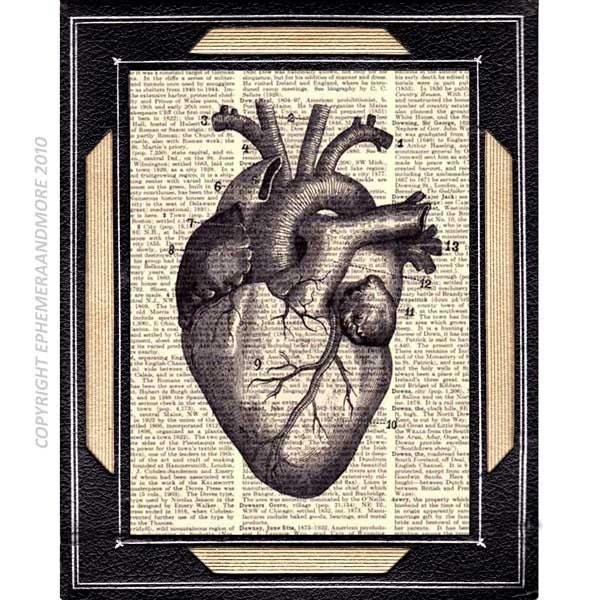 HUMAN HEART illustration anatomical art print human anatomy medical science upcycled vintage dictionary art print text book page 8x10