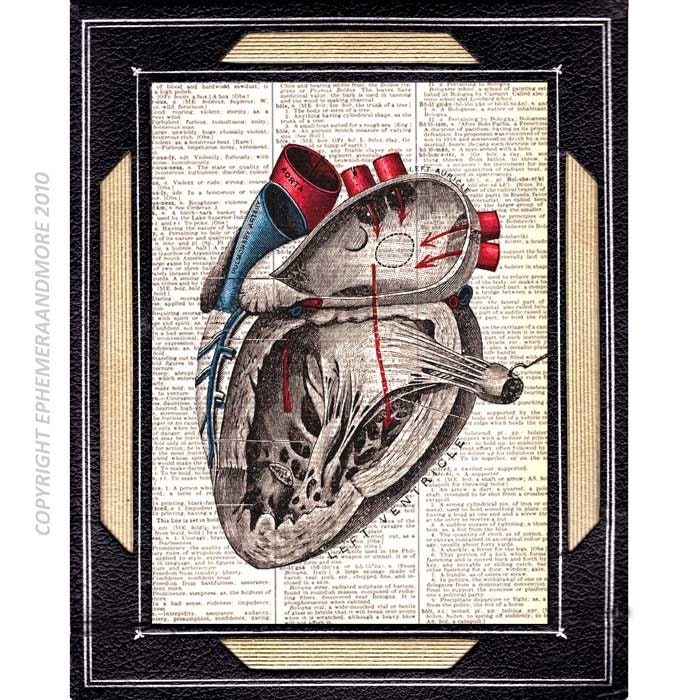 ANATOMICAL HEART illustration human anatomy vintage human heart book page art print on dictionary print black red blue 8x10