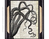 OCTOPUS TENTACLES art print marine animal wall art decor black white cephalopod book page art print on dictionary art print 8x10