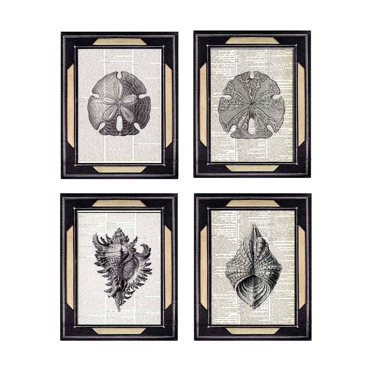 MARINE SHELL COLLECTION art prints natural science nautical dictionary print book page art print ocean sea wall decor black white 8x10
