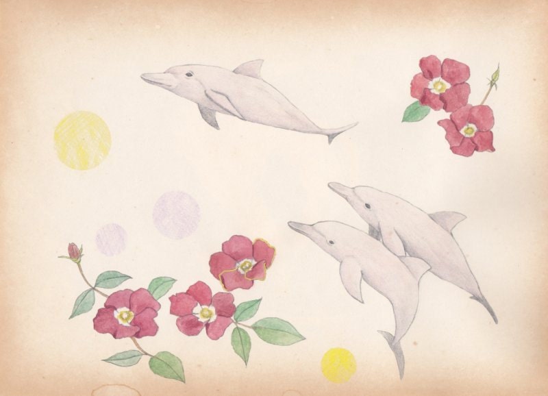 Pink dolphins - postcard