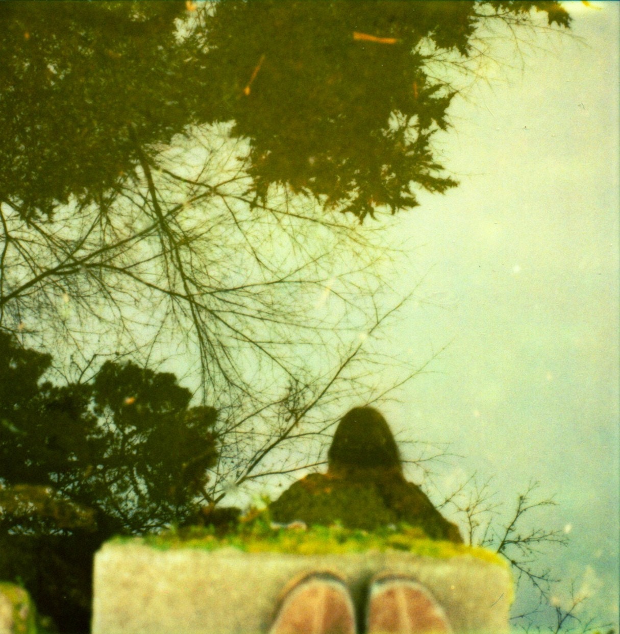 reflection - 5 x 5 polaroid print