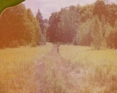 the hiker - 8 x 6 polaroid print