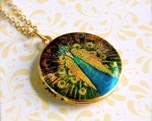 The Elegant Peacock Locket II