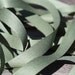 Sage Faux Suede 5/8" Ribbon 3 Yards