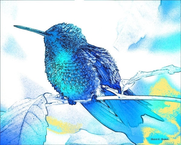 Hummingbird Blue Yellow Spring Garden Digital Print Bird Art 8 x 10 Giclee Print