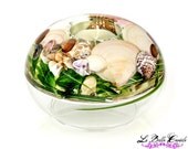 Sea Shell Nautical Candle Holder