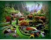 Must Be Heaven - 8x10 Fine Art Photo Print - Butchart Gardens
