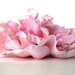 Soft Pink Peony Hair Clip