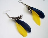 NOTRE DAME  - Navy Blue and Gold - Light Coque Feather Earrings - customizable and made to order