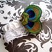 Peacock Wedding garter - Peacock and Lace Garter Keepsake