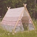 Reserved for Cassidy Freitas: Children's A-Frame Ruffle cover and Complete Tent Set