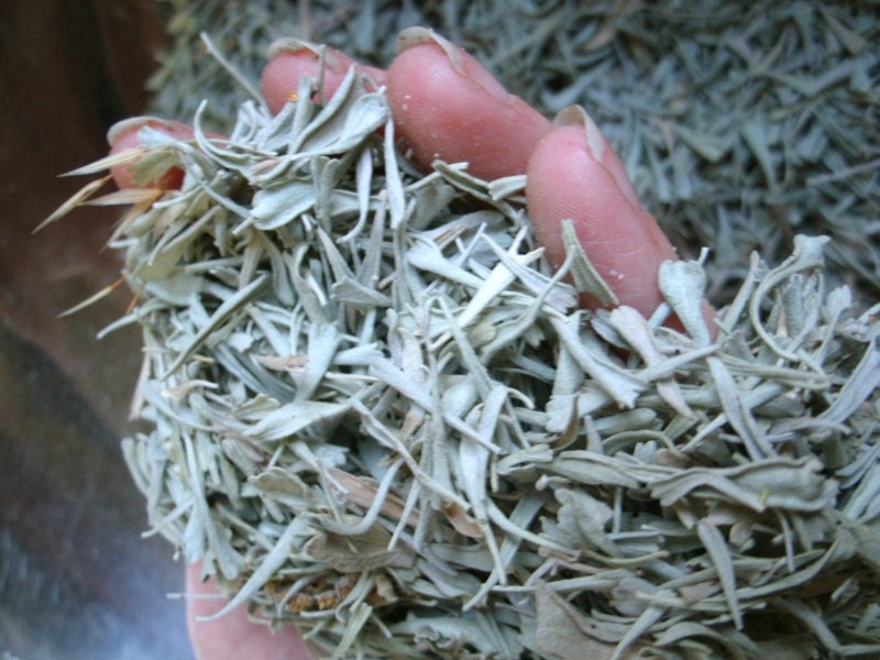 Prairie Rose - Loose Smudge - 15g