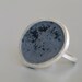 Black dust in Grey sterling silver Ring