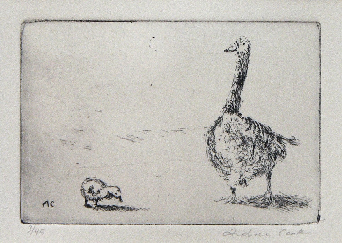 original etching of a mother goose and gosling