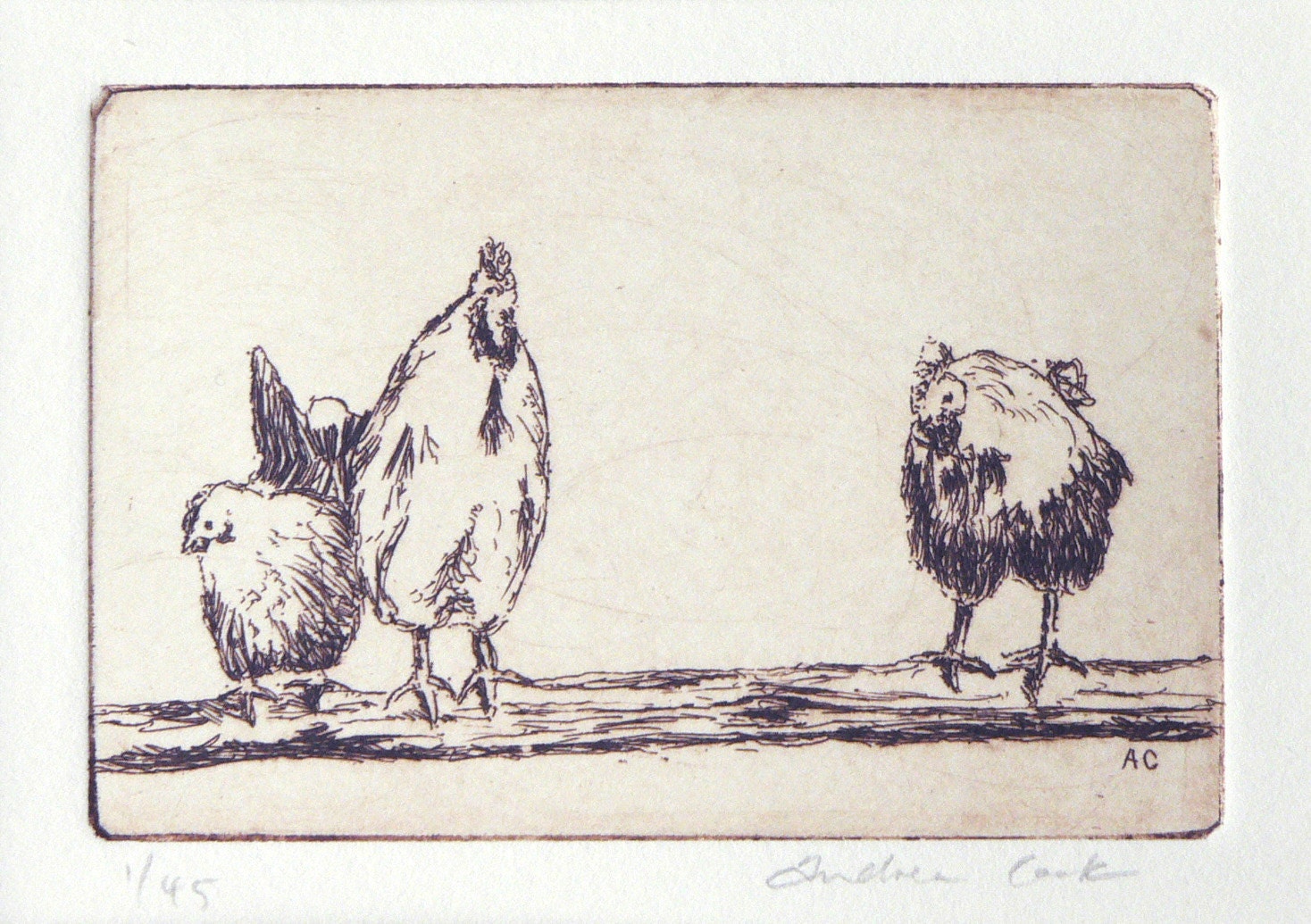 original etching of 3 chickens