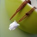 SALE - Wise Little Owl Necklace