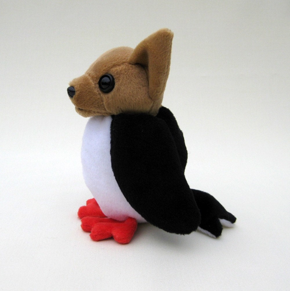 Chihuahua Puffin