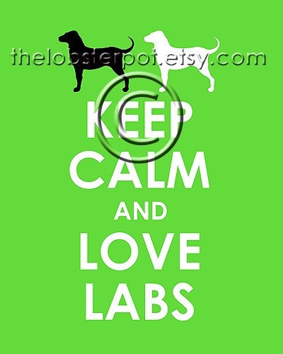 Keep Calm and Love Labs archival print