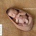 Newborn Cocoon Photo Prop Coffee Brown Fabric Cocoon Used In Professional Photography of Newborn, Infant Portrait Sessions