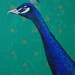 Original Peacock Painting on a Vintage Book Cover