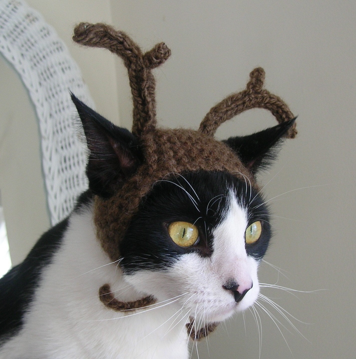 The Reindeer Cat Hat