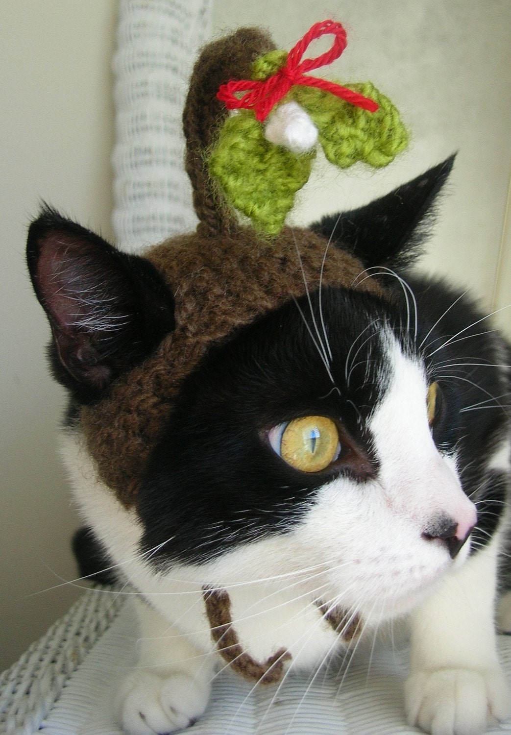Under the Mistletoe Christmas Cat Hat