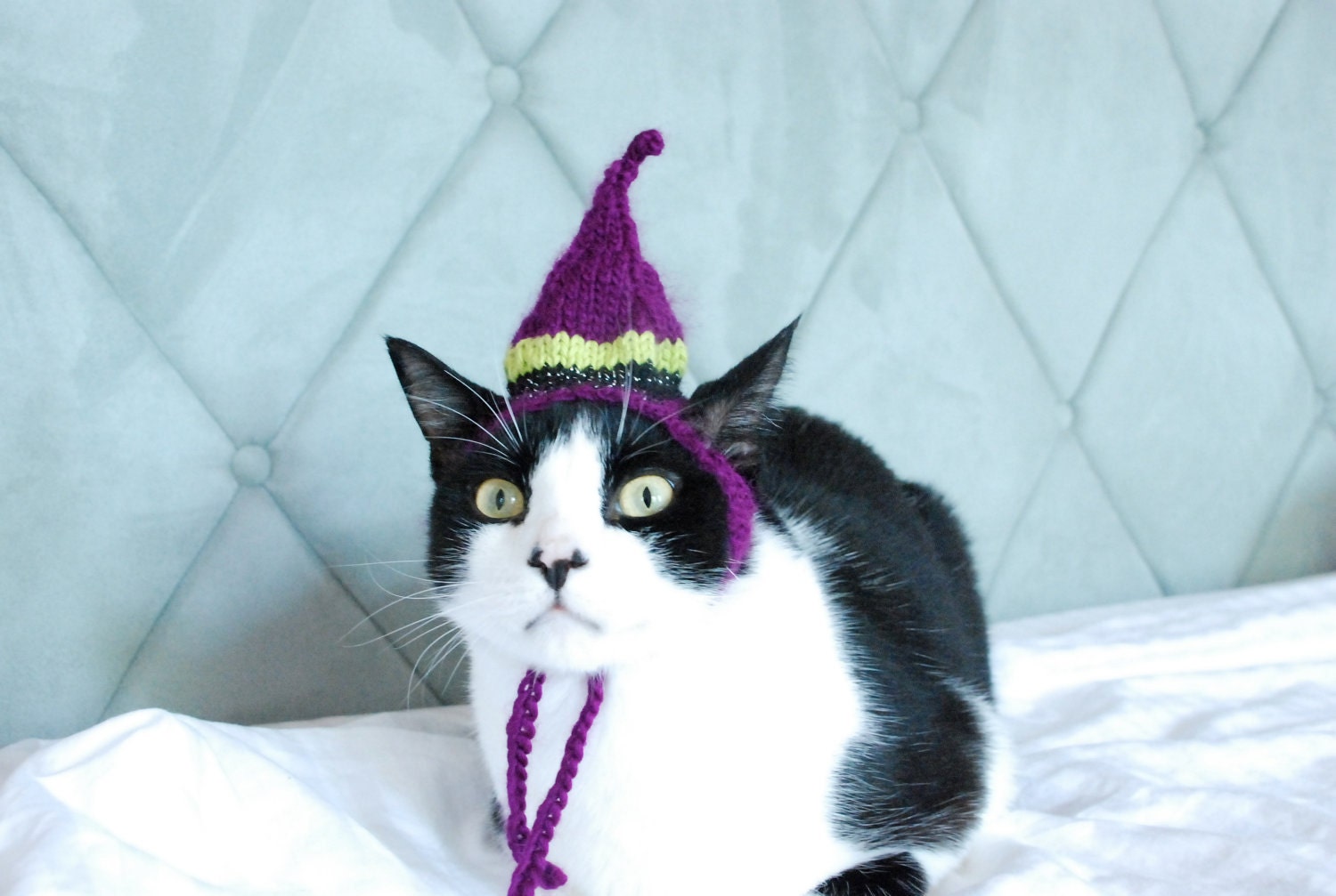 The Witch Cat Hat