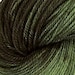 Hand Painted Sock Yarn - Forest