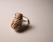 Checker Shell Ring