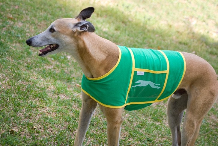 Donation Coat - Upcycled Saddle Wags - Green and Yellow - Medium