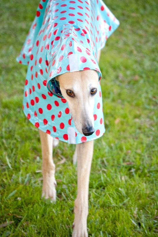 Dog Raincoat Slicker - Red Polka Dots on Turquoise
