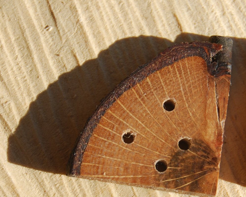 4 Wooden Oak Wedge, Triangular Buttons